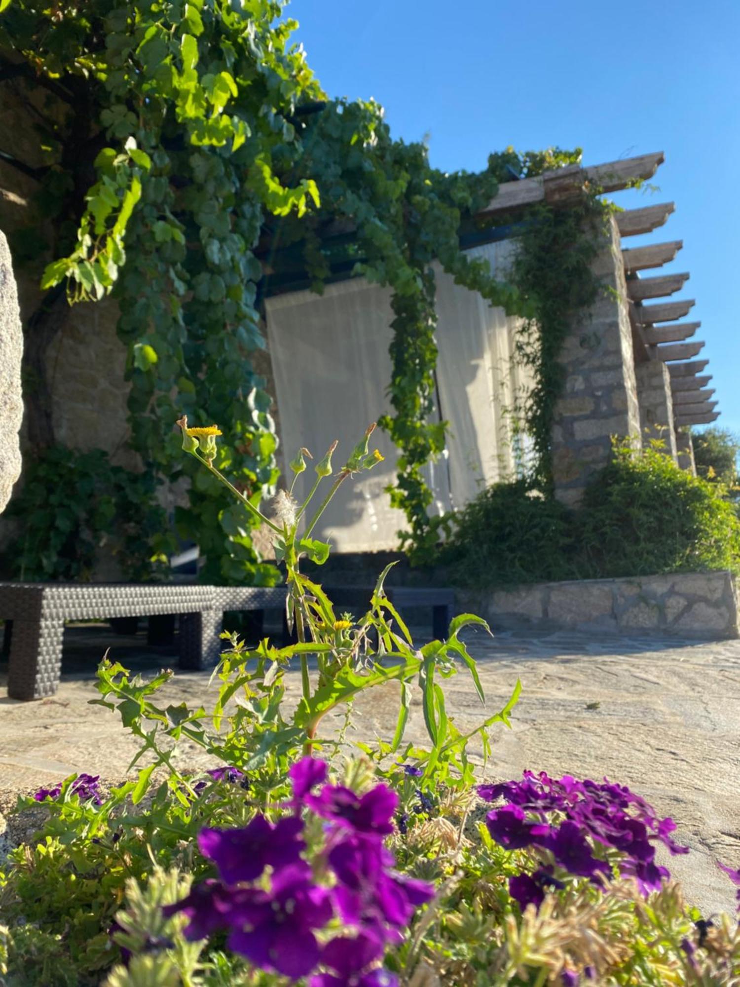 Lidenex Villa Guijo de Granadilla Екстериор снимка