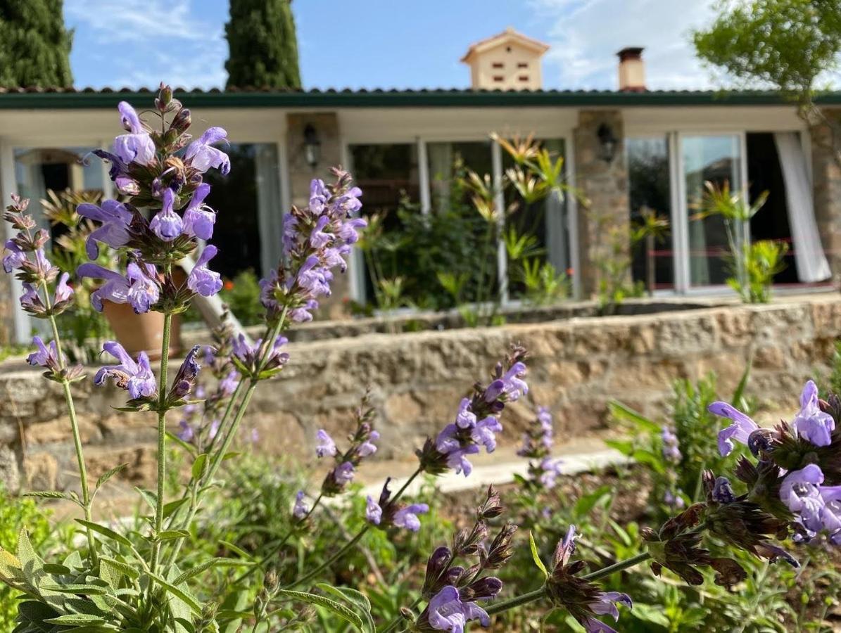 Lidenex Villa Guijo de Granadilla Екстериор снимка